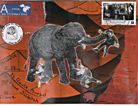 elephant 019_