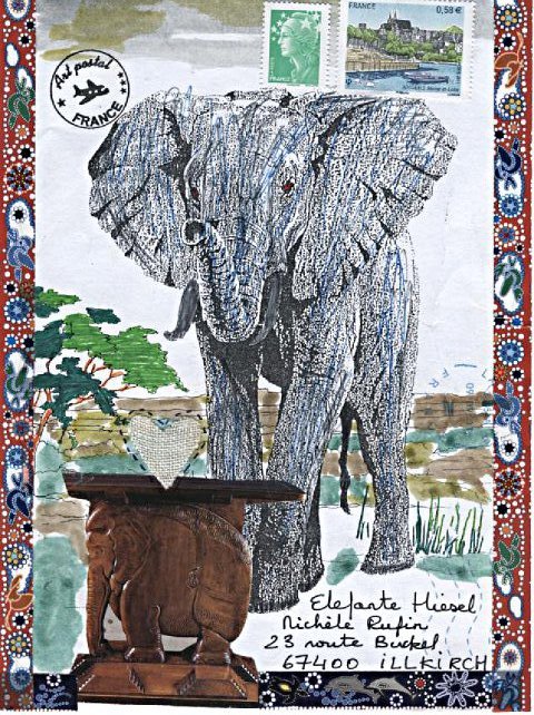 elephant 021
