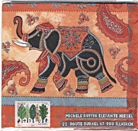 elephant 023