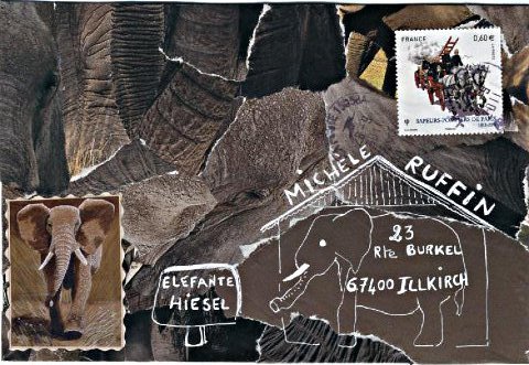 elephant 029