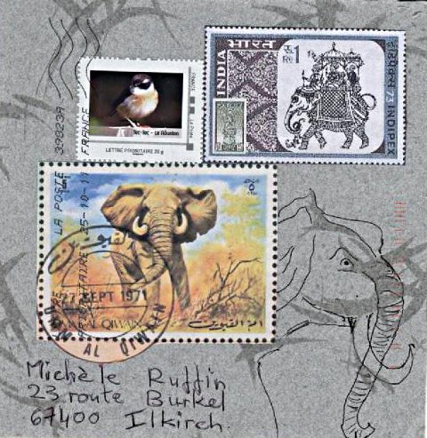 elephant 036