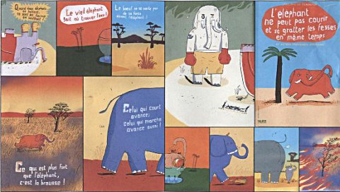elephant 043