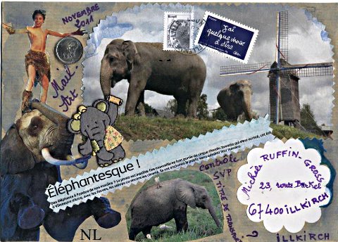 elephant 044