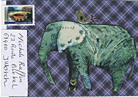 elephant 068