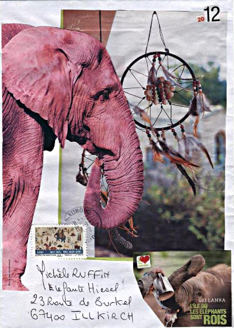 elephant 069