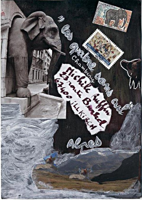 elephant 073