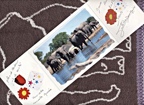 elephant_mail_art 004