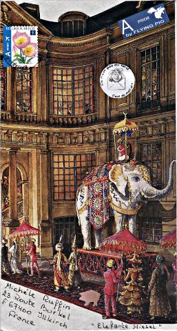 elephant 076