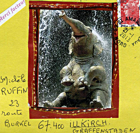 chat velizy villacoublay